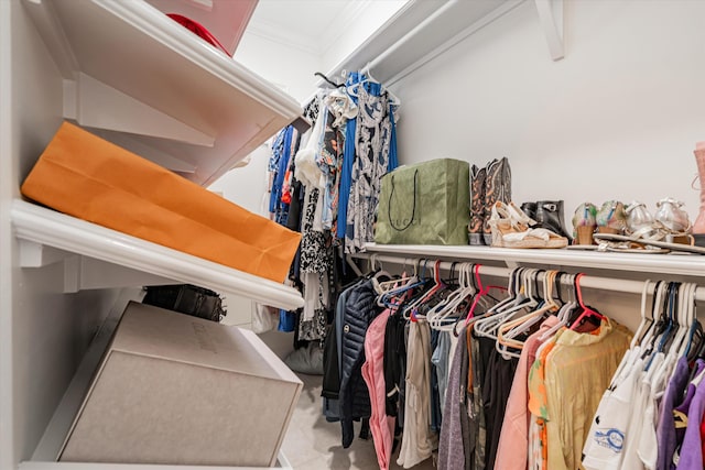 view of spacious closet