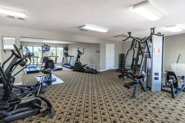 workout area featuring carpet flooring