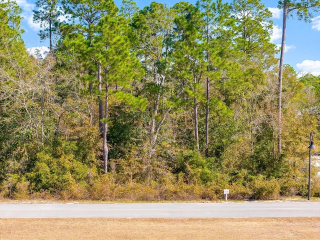 Listing photo 2 for LOT53 Hibernate Way, Freeport FL 32439