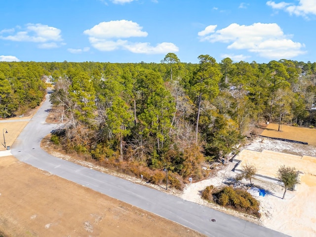 Listing photo 3 for LOT53 Hibernate Way, Freeport FL 32439