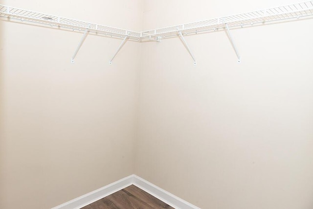 spacious closet featuring hardwood / wood-style floors