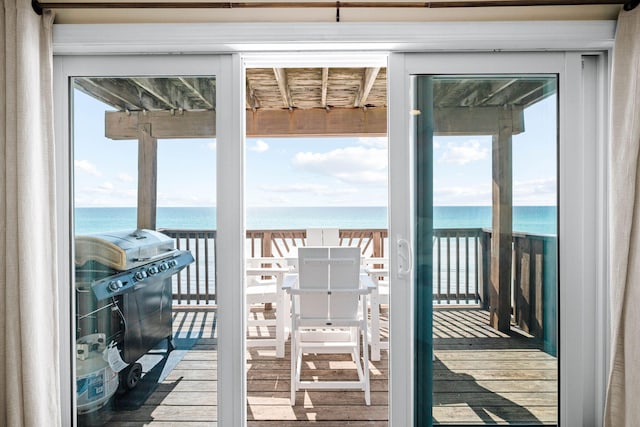 entryway featuring a wealth of natural light, hardwood / wood-style flooring, and a water view