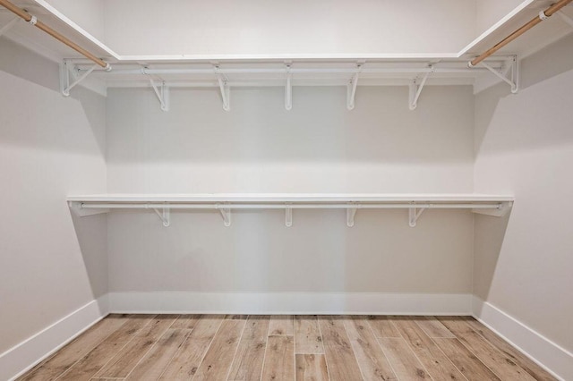 walk in closet with light wood-type flooring