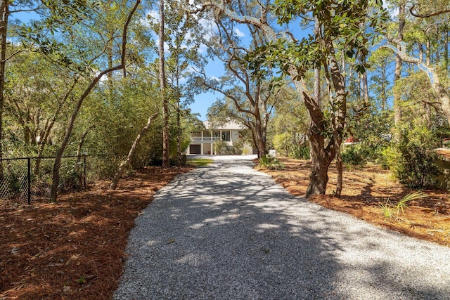 view of street featuring gravel driveway