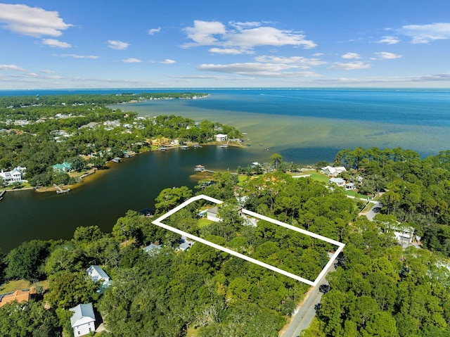 bird's eye view with a water view