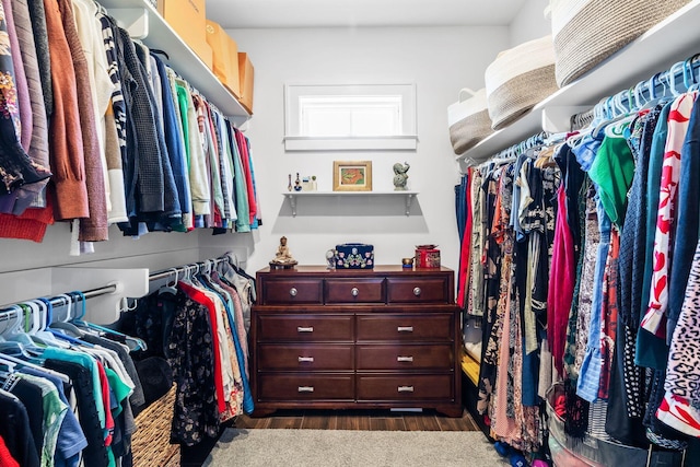 view of spacious closet