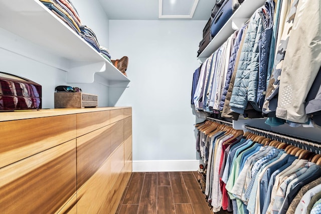 walk in closet featuring dark wood finished floors