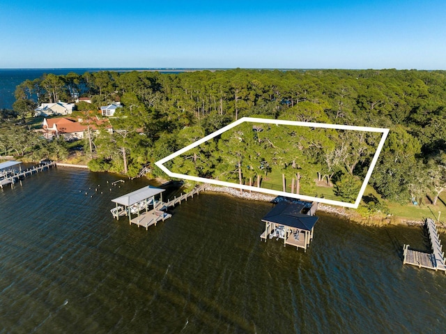 aerial view with a water view and a wooded view