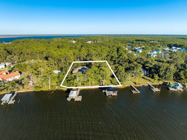 drone / aerial view featuring a forest view and a water view