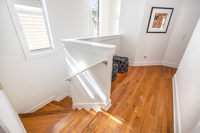 staircase with wood-type flooring