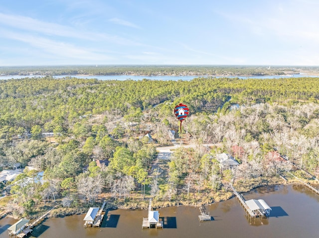 bird's eye view with a water view and a view of trees