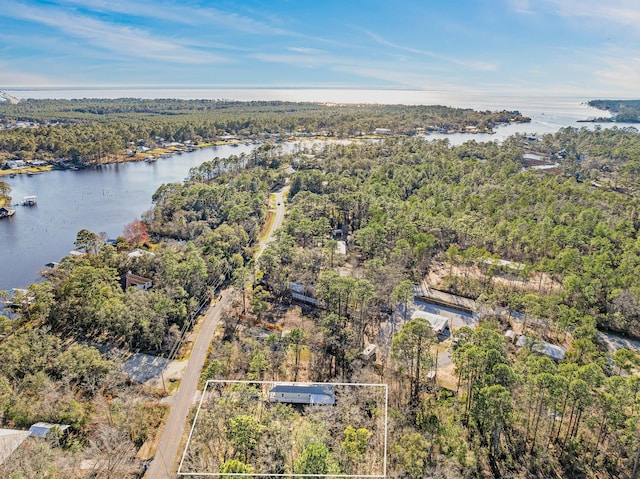 bird's eye view featuring a water view and a view of trees