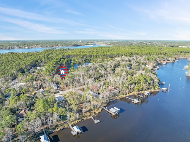 bird's eye view featuring a forest view and a water view