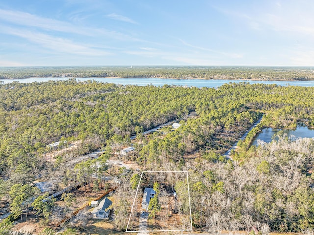 birds eye view of property featuring a water view and a view of trees