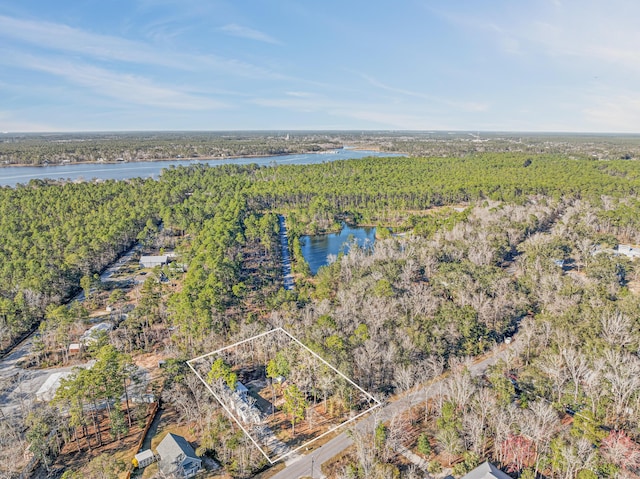 bird's eye view with a water view and a forest view