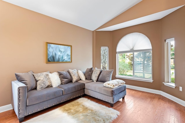 living room featuring lofted ceiling and wood-type flooring