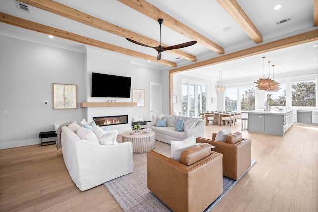 living room featuring beam ceiling, ceiling fan, and light wood-type flooring