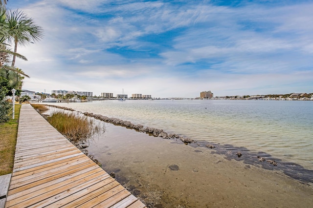 dock area with a water view