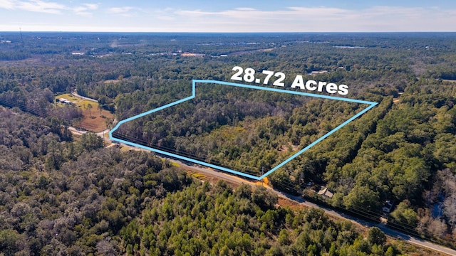 28.7ACRES Old Landfill Rd, Defuniak Springs FL, 32433 land for sale