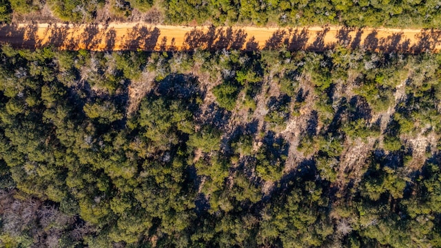 Listing photo 2 for 28.7ACRES Old Landfill Rd, Defuniak Springs FL 32433