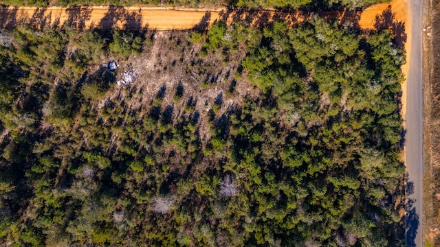 Listing photo 3 for 28.7ACRES Old Landfill Rd, Defuniak Springs FL 32433