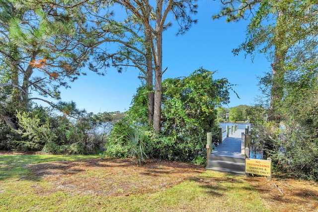 view of yard with a dock