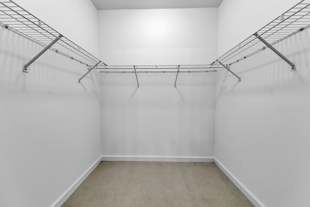 spacious closet with carpet floors