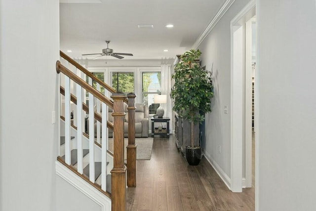 interior space with ornamental molding, hardwood / wood-style floors, and ceiling fan