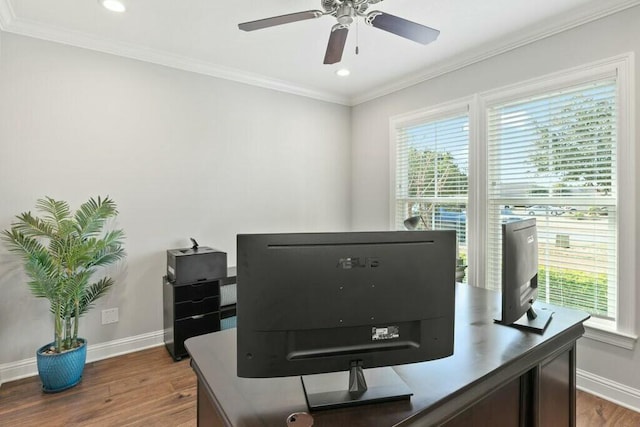 office featuring crown molding, ceiling fan, and dark hardwood / wood-style floors