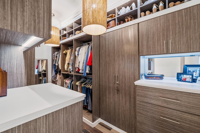 walk in closet featuring wood finished floors