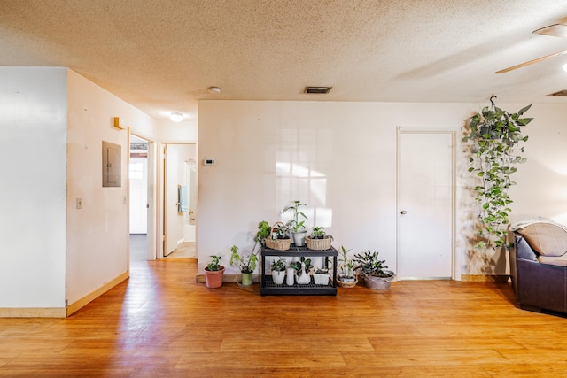 corridor featuring a textured ceiling, light hardwood / wood-style floors, and electric panel