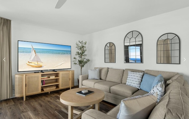 living room featuring dark wood-type flooring