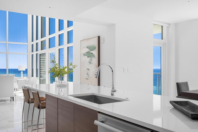 kitchen featuring floor to ceiling windows, light countertops, a sink, modern cabinets, and dishwasher