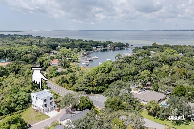 aerial view with a water view