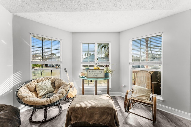 sitting room featuring hardwood / wood-style floors and a textured ceiling