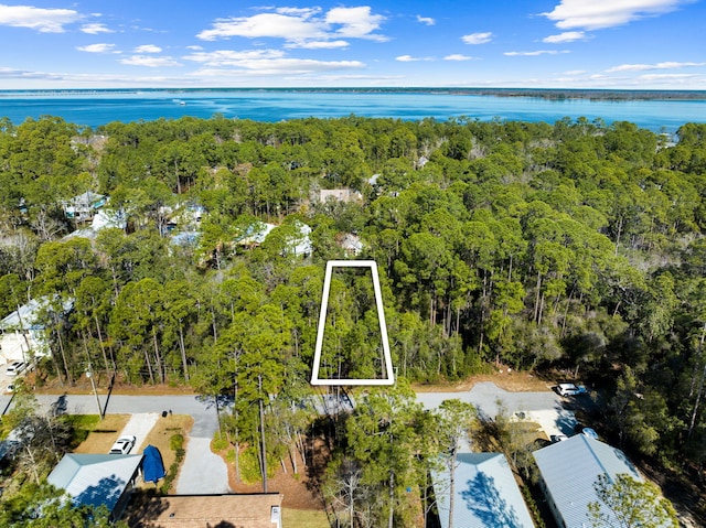 25-28 Wild Blueberry Way, Point Washington FL, 32459 land for sale