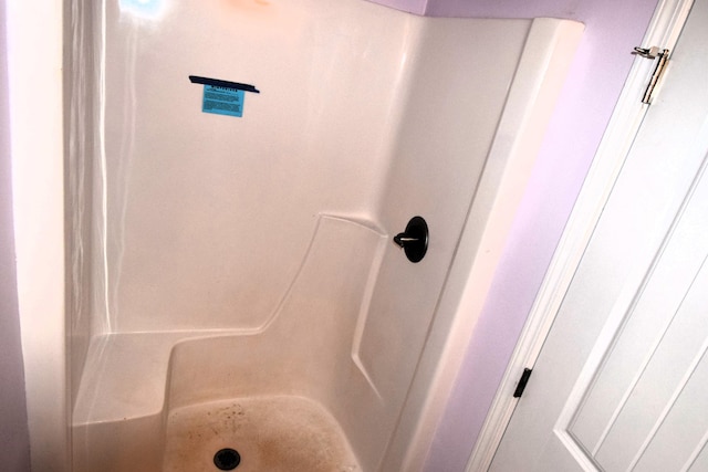 bathroom featuring walk in shower