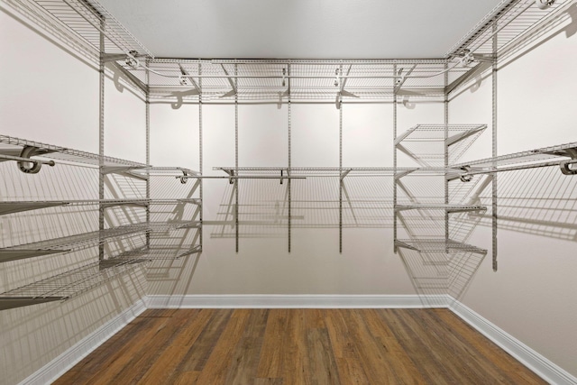 walk in closet with dark wood-type flooring