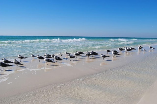 property view of water featuring a beach view