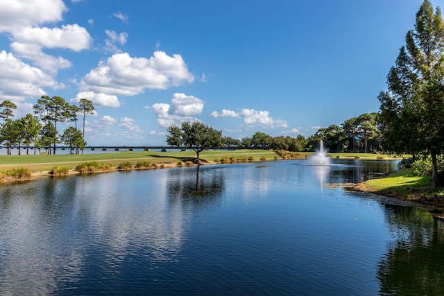 view of water feature