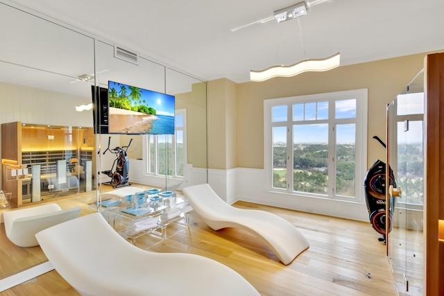 game room featuring hardwood / wood-style flooring and a wealth of natural light