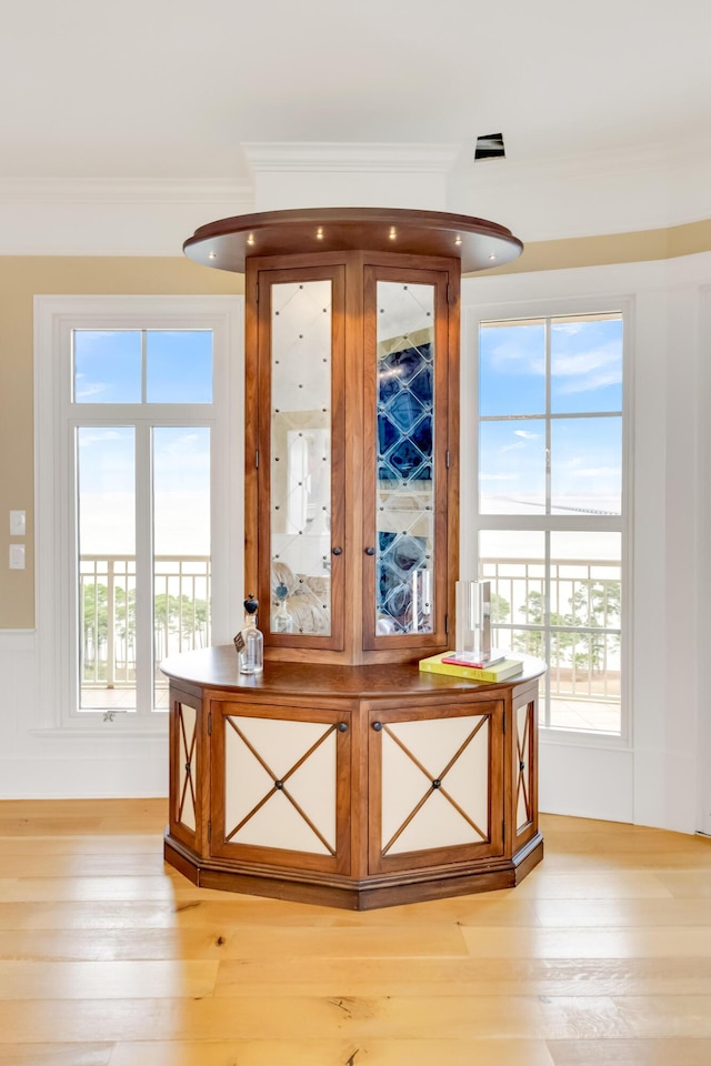 interior space with light hardwood / wood-style flooring, plenty of natural light, and crown molding