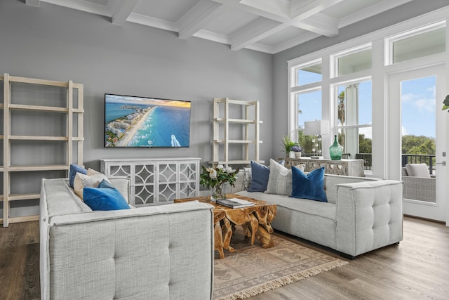 living room featuring wood-type flooring, plenty of natural light, and beam ceiling