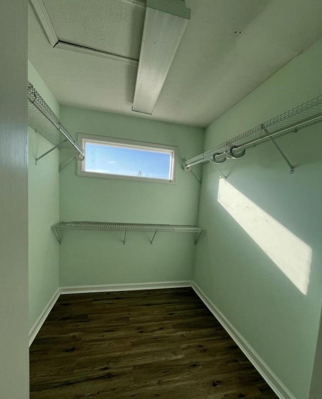 spacious closet featuring dark hardwood / wood-style flooring