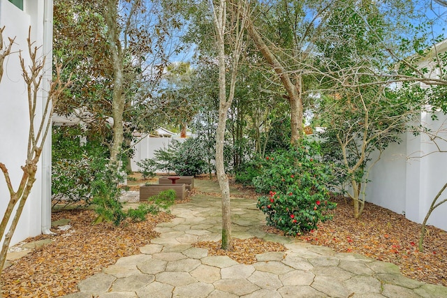 view of yard with a patio area and fence