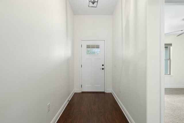 doorway featuring dark hardwood / wood-style floors