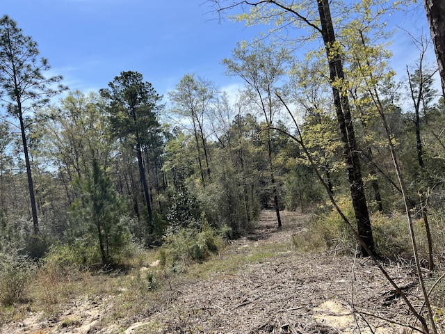 Listing photo 2 for xxxx Bambi Road, Crestview FL 32539