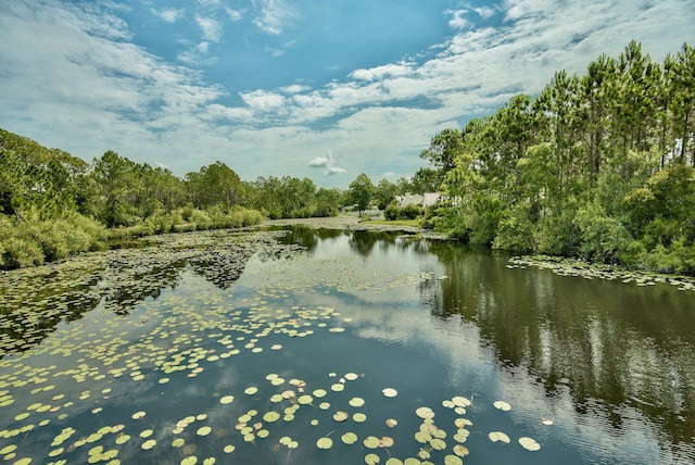 water view featuring a forest view