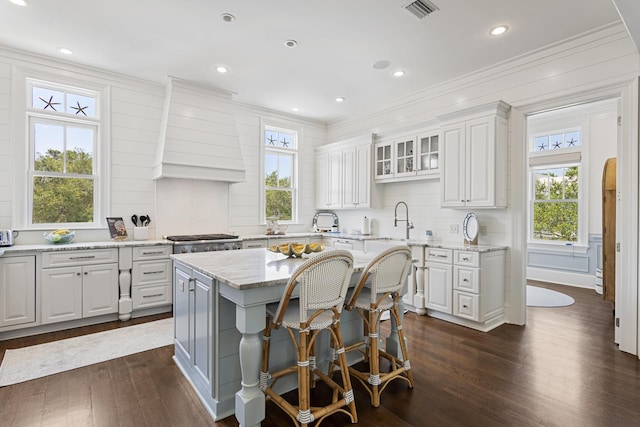 kitchen with premium range hood, white cabinetry, light stone counters, a wealth of natural light, and a kitchen island