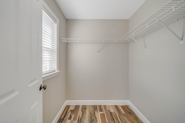 spacious closet with hardwood / wood-style flooring